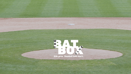 BBCOR vs USSSA vs USA Baseball Bats