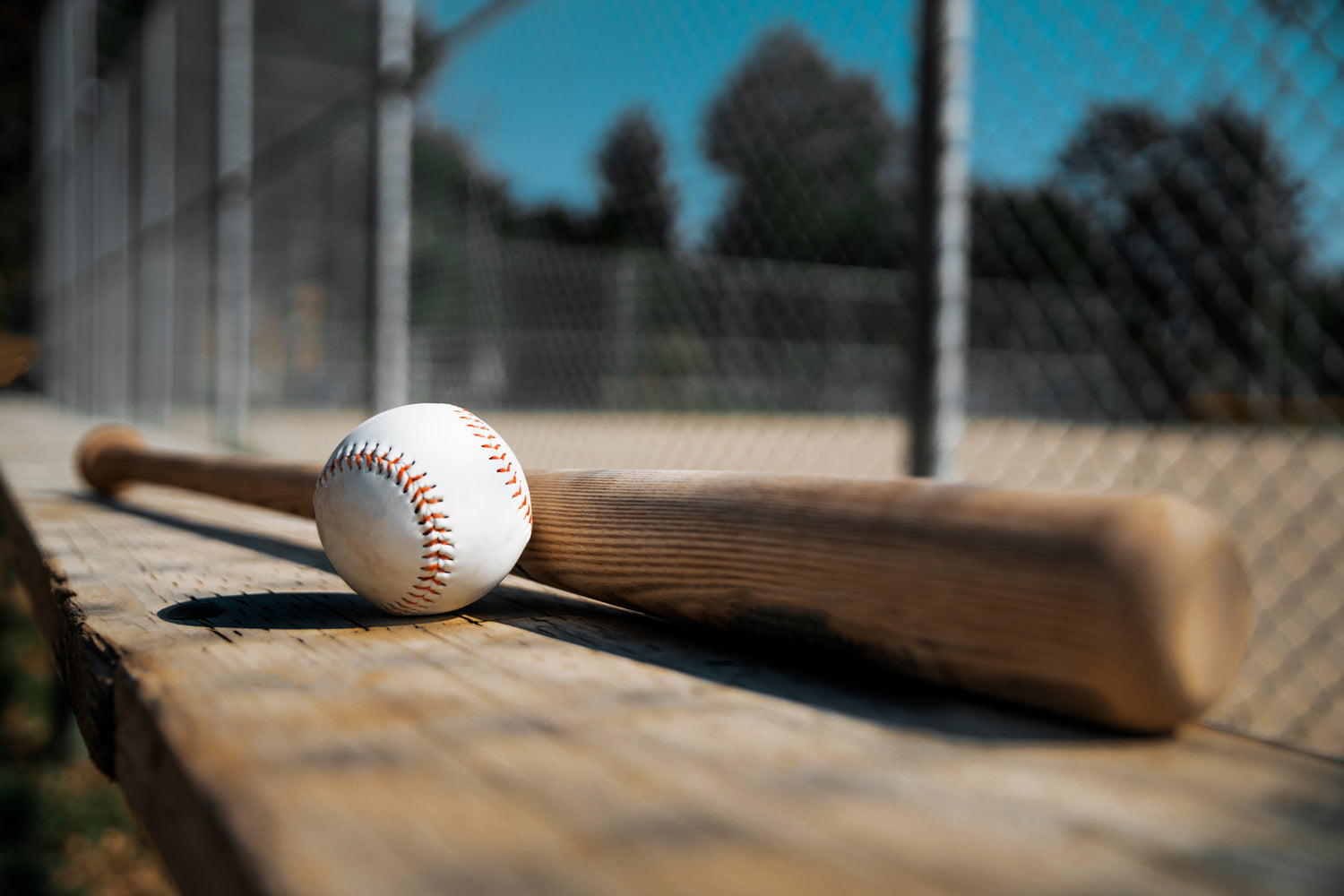 Baseball bat and ball on bench with chain link fence. Focused on baseball bat and ball at aesthetic  angle. Recreational field in immediate background is blurred.