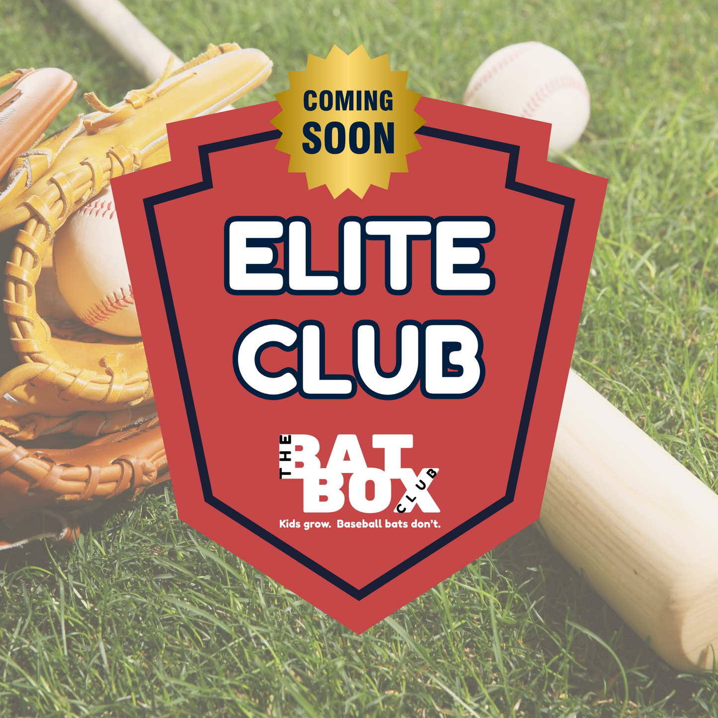 Elite Club | Youth Baseball Bat Rental – $19/month + sign up fee